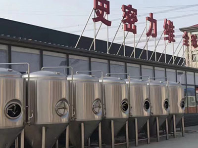 陇南精酿啤酒设备厂—如何判断精酿啤酒设备的密封件需要更换？